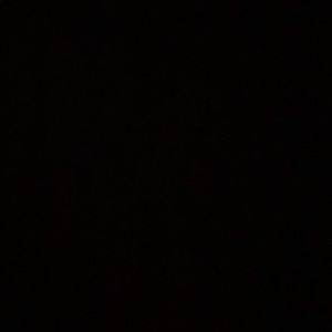 Meet your Posher, Jake